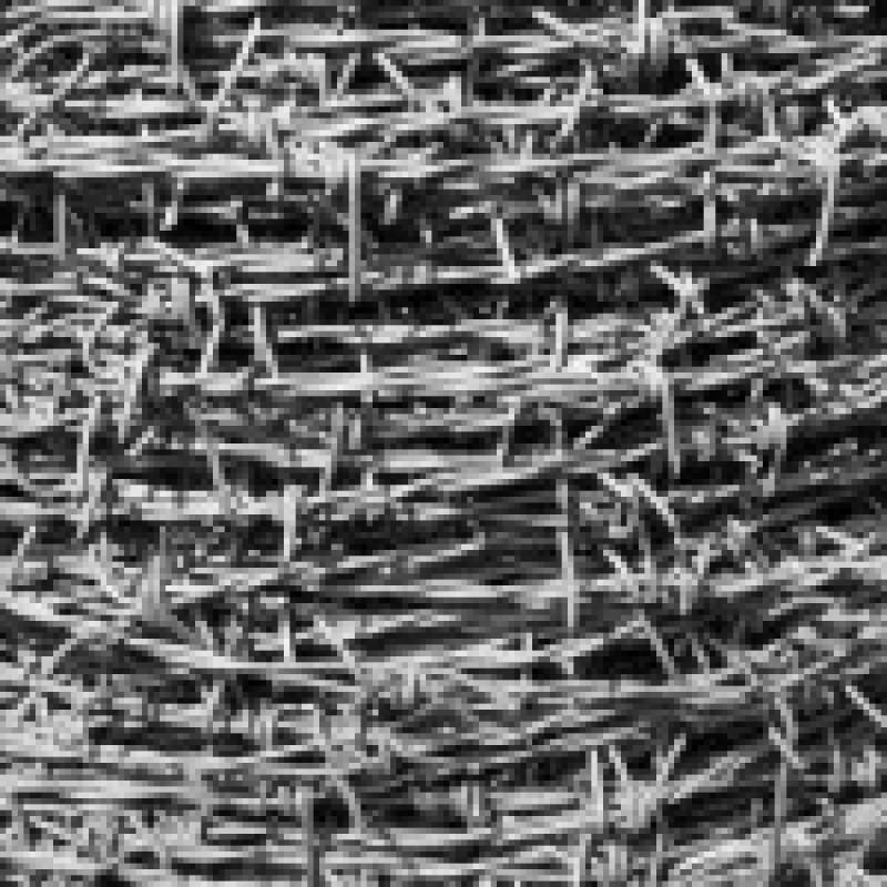 Barbed Wire